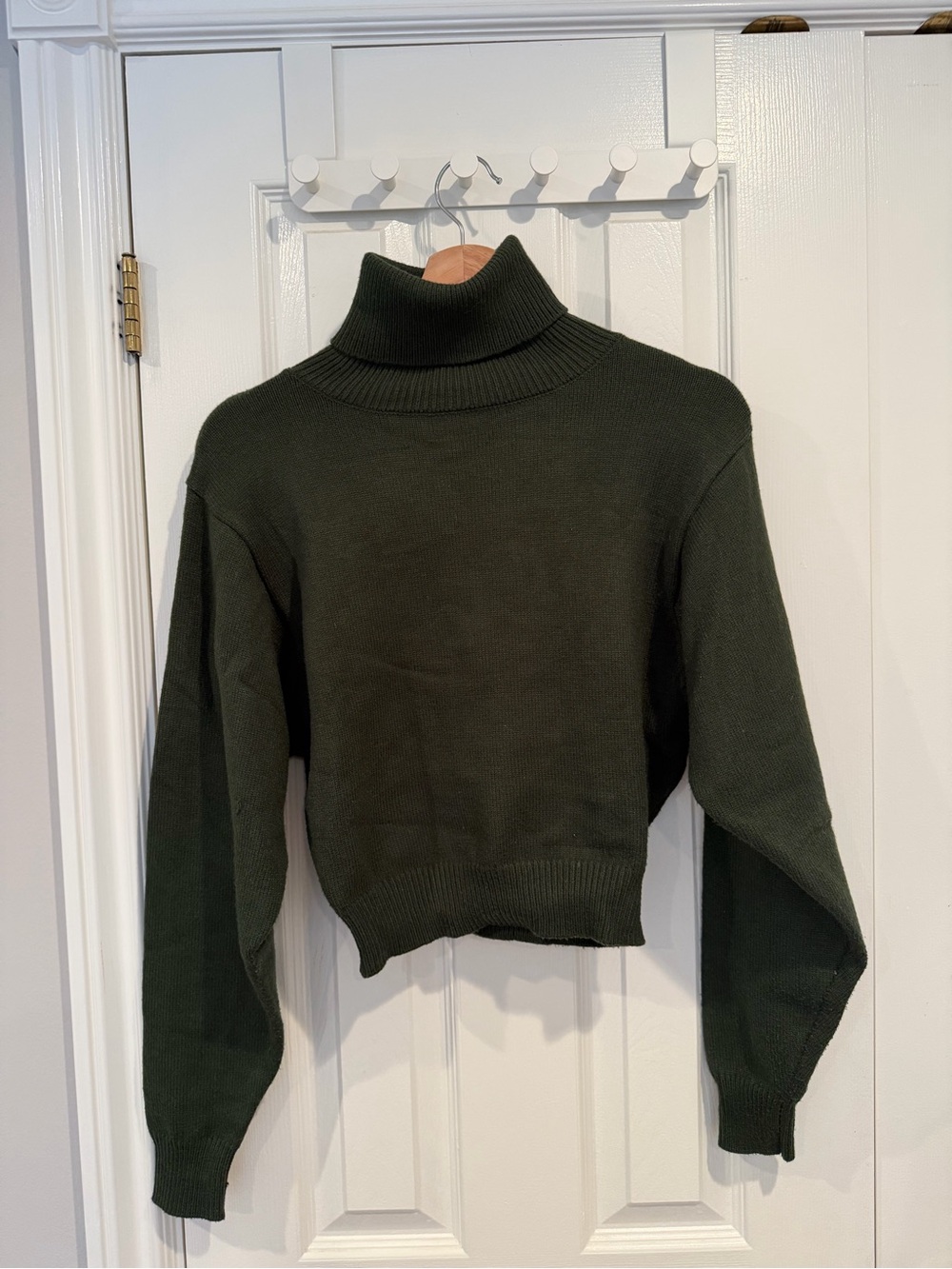 Zara Dark Olive Turtleneck Sweater